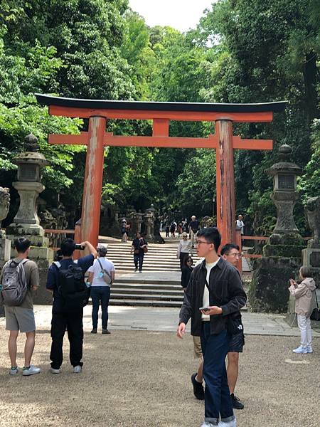 立山黑部-3奈良公園-梅花鹿