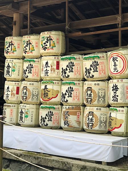 立山黑部-3奈良公園-梅花鹿