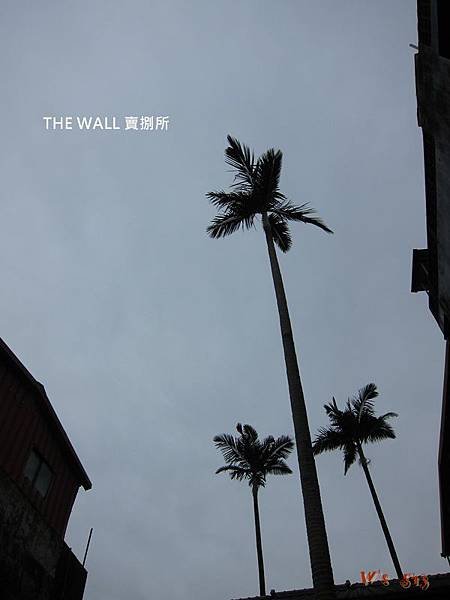 IMG_6487the wall 賣捌所