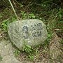 IMG_3204.jpg