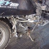 IMG_3359.jpg