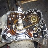IMG_3302.jpg