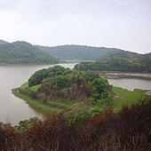 IMG_3220.jpg