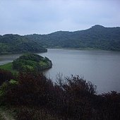 IMG_3221.jpg
