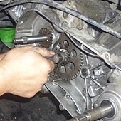 IMG_3441.jpg