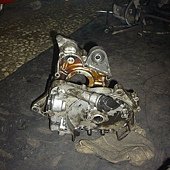 IMG_3318.jpg