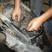 IMG_3499.jpg