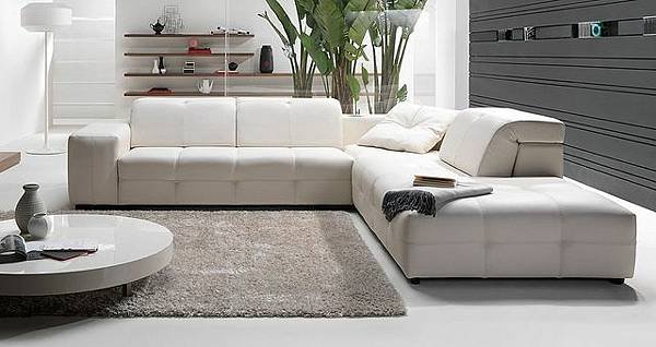 natuzzi surround.jpg