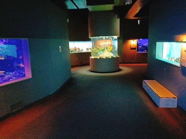 【日本北海道之旅】北歐風格的城堡竟然是水旅館—登別尼克斯海洋