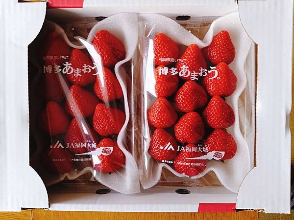 【日本北海道之旅】洞爺湖湖景飯店—洞爺湖景乃之風飯店