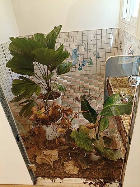 【桃園龜山美景】老宅活用文藝展場優閒放鬆好地點— ［X-iS