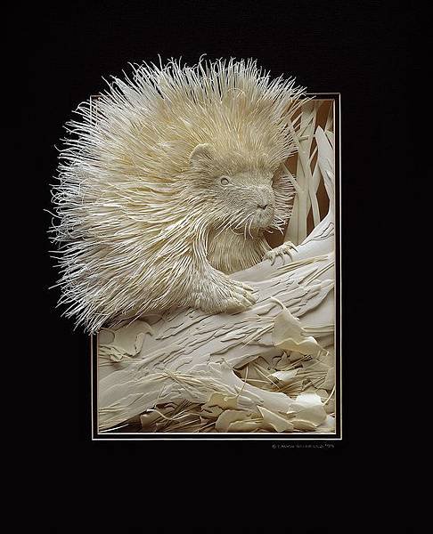 Paper-Sculptures-by-Calvin-Nicholls.jpg