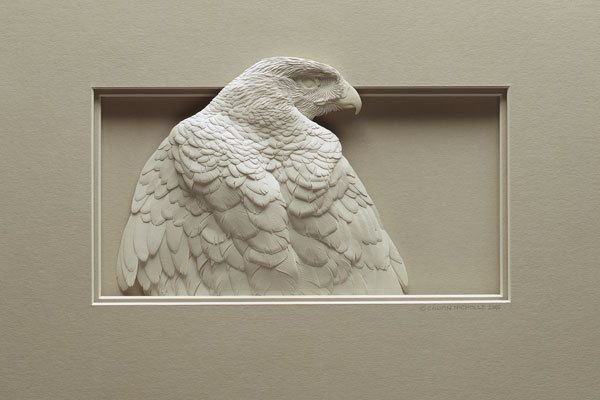 Paper-Sculptures-by-Calvin-Nicholls_5.jpg