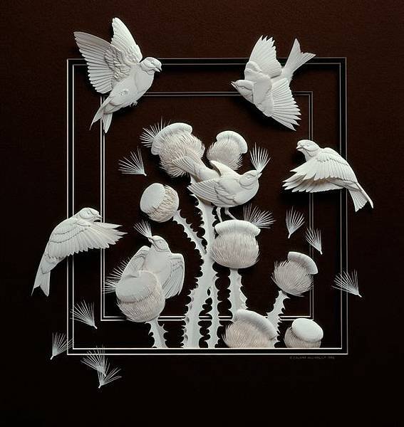 Paper-Sculptures-by-Calvin-Nicholls_4.jpg