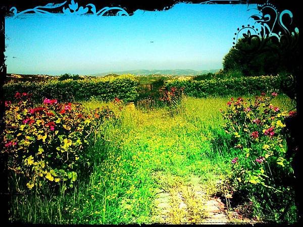 kefalonia_garden_path_by_aranwen-d4xm430