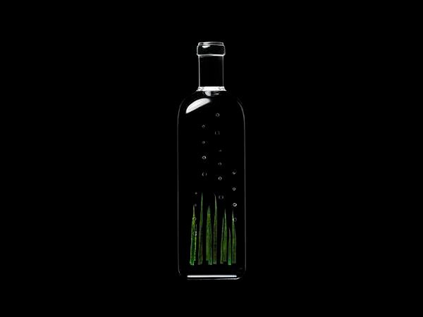 rain_bottle15_hiroshi_iwasaki