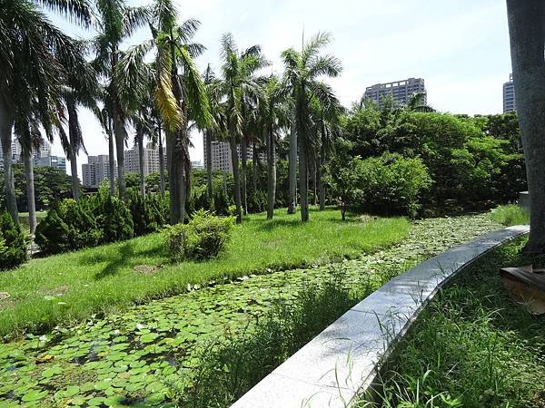 DSC01165