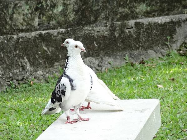 DSC01361