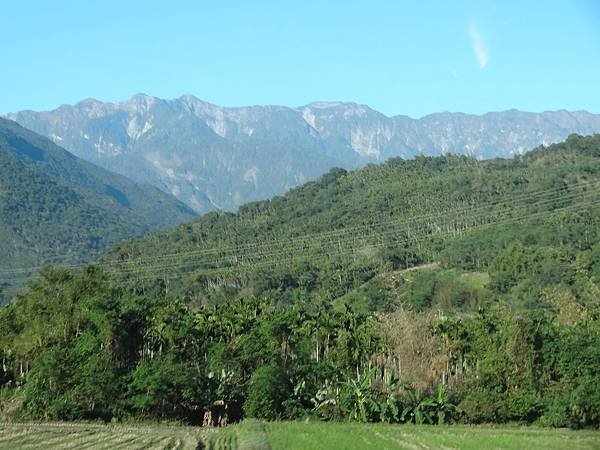 DSC06805