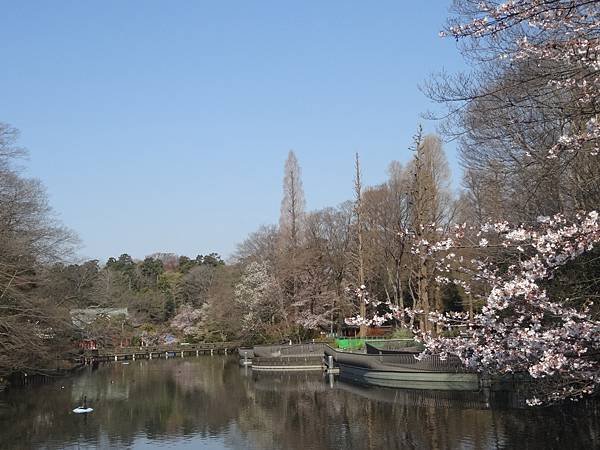DSC08198