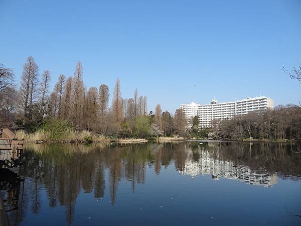 DSC08189
