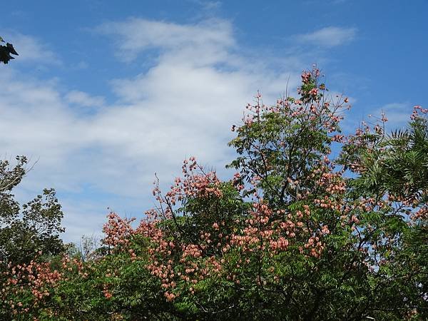 DSC03585.JPG