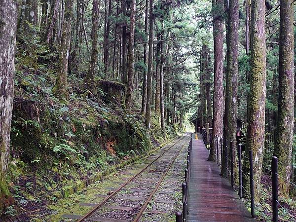 太平山森林遊樂區３-太平山蹦蹦車