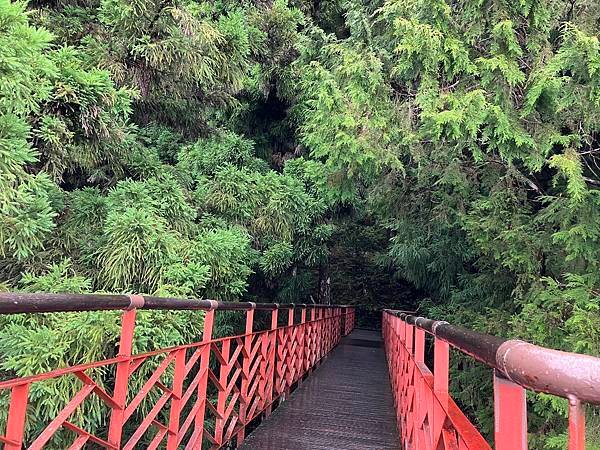 太平山森林遊樂區３-太平山蹦蹦車