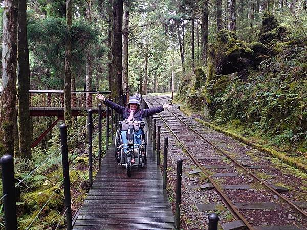 太平山森林遊樂區３-太平山蹦蹦車