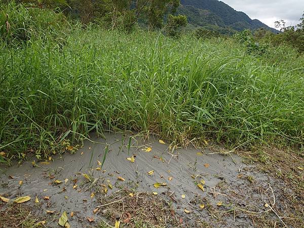 2023.10台東池上稻穗藝術節２-羅山遊憩區