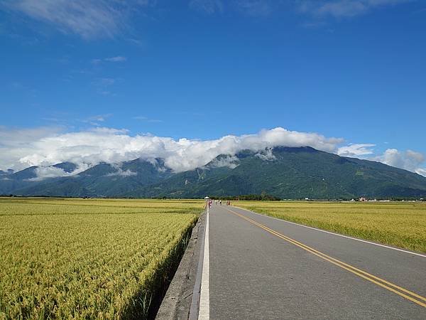 2023.10台東池上稻穗藝術節４-伯朗大道&amp;天堂路