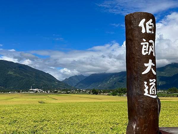 2023.10台東池上稻穗藝術節４-伯朗大道&amp;天堂路