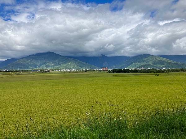 2023.10台東池上稻穗藝術節５-大坡池