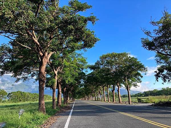 2023.10台東池上稻穗藝術節７-台糖池上牧野渡假村