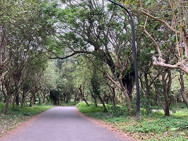 頭城。濱海森林公園