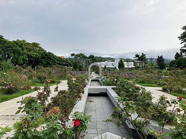 新生公園之蓮花好美篇