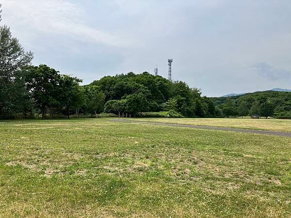 北海道自由行花海之旅１８—完結篇