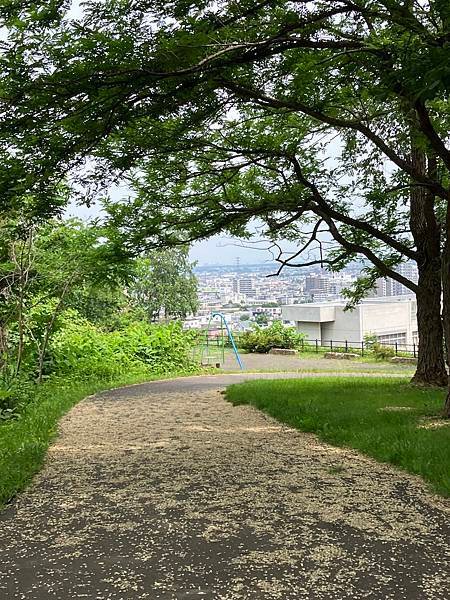 北海道自由行花海之旅１８—完結篇