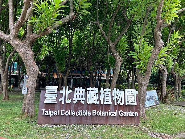 臺北典藏植物園。蕨類水苔球體驗