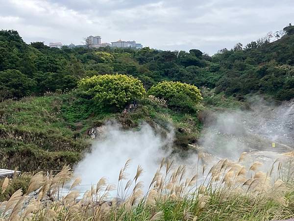 2025元旦享足湯