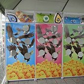 DSC01582