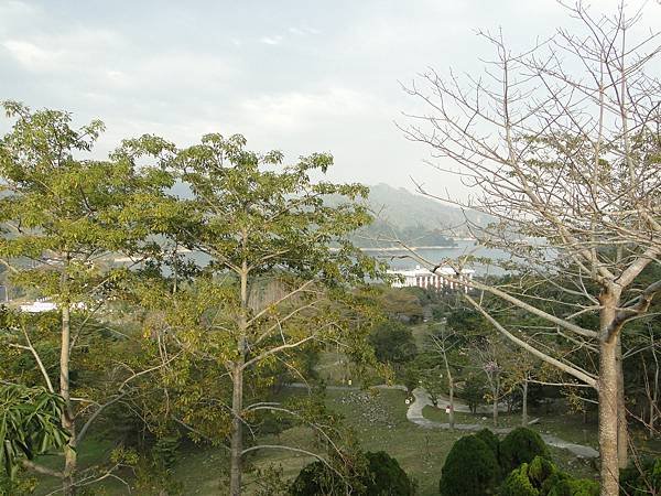 DSC03091