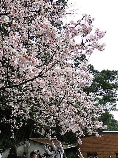 DSC08715.JPG