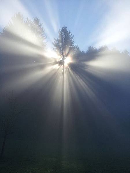 fog-524071_640.jpg