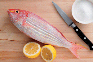 魚