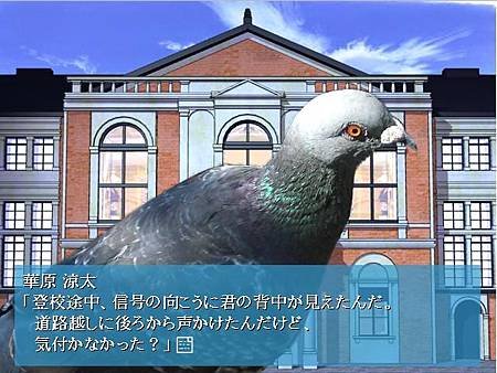 涼太.jpg