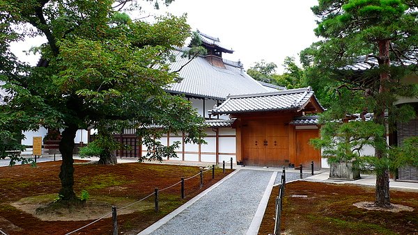 P1260653.JPG