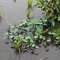IMG_1864.JPG