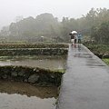 IMG_1879.JPG
