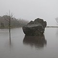IMG_1917.JPG